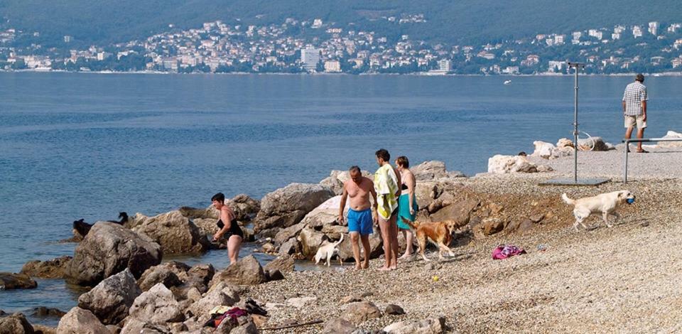 Apartament Andi